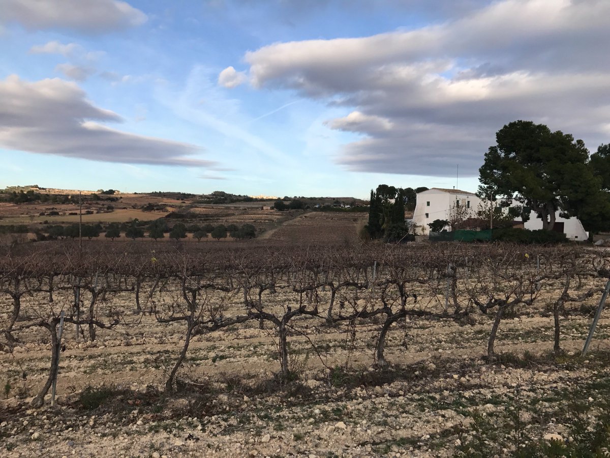 RicardMoren's tweet photo. #HAMLETS ResearchProject, #UABBarcelona:
#RENAU municipality, #Tarragonès county, #Tarragona land:
148 inhabitants (INE2016), incl. 13 born abroad (8 women & 5 men):
4 born in #France, 2 #Romania, 1 #Ecuador, 1 #Peru, 1 #DominicanR…
#immigration #micropobles
Images: December2017 https://t.co/udLrFBV2Yj