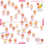 眺めているだけでも楽しい!　苺の断面図カタログの充実度がすごい!