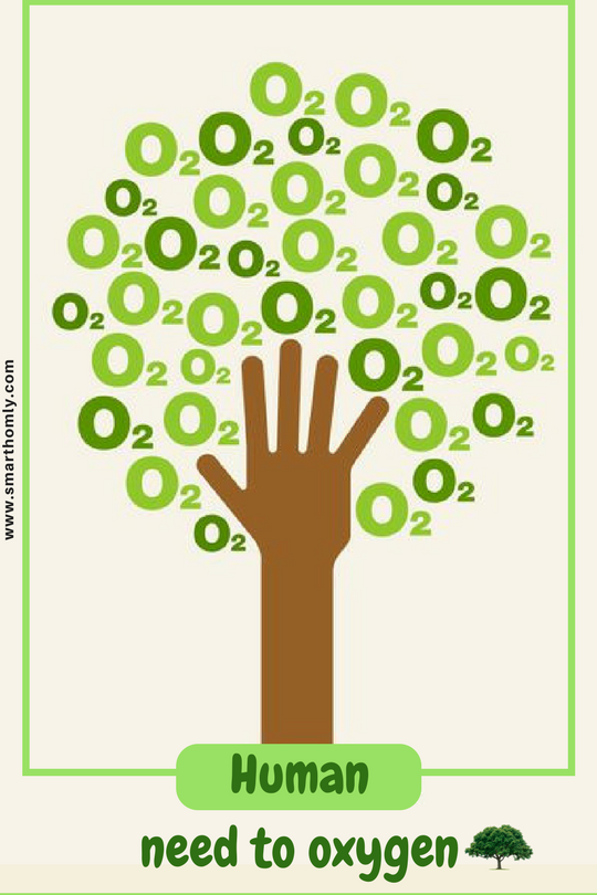 SmartHomly's tweet photo. Human need to oxygen. Plant trees, protect trees to save the world.
#BeatPollution https://t.co/W0mCcr0smy