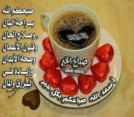 halems8's tweet image. 