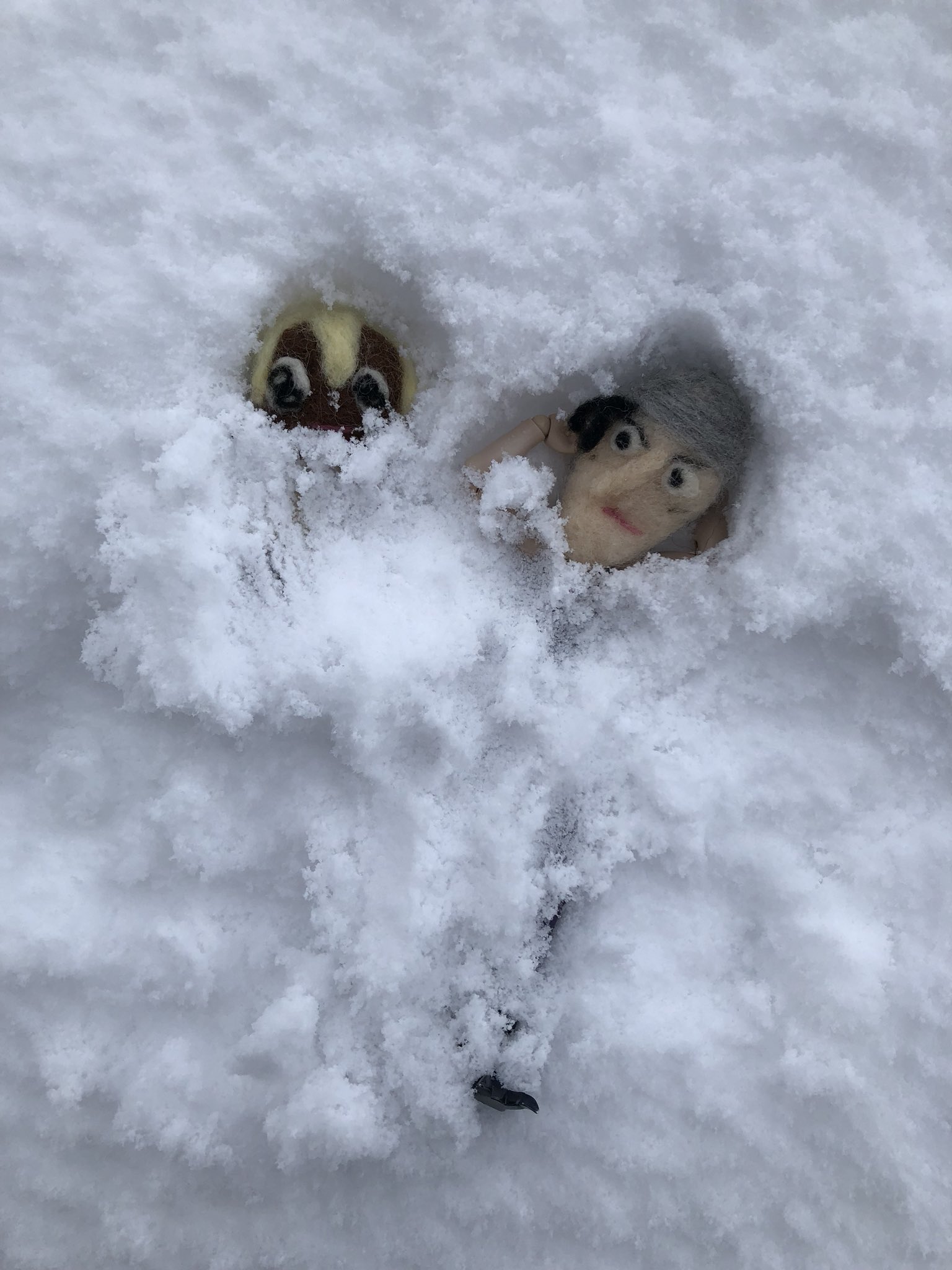 ｲﾁｼﾞｸ On Twitter まだ 綺麗なままの雪の絨毯に二人で刻む足跡の平行線