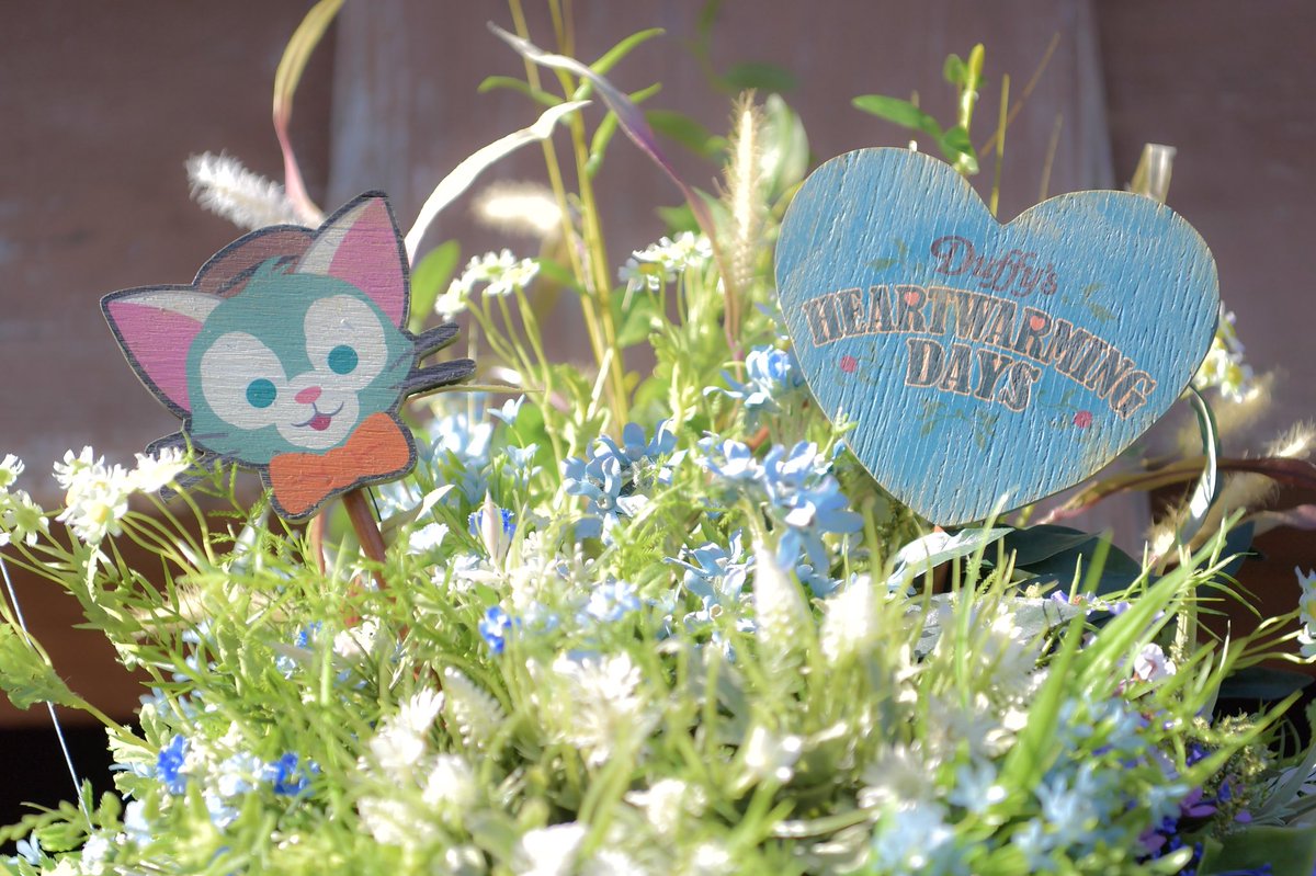 yusukegram's tweet photo. ケープコッドがすごく可愛い🌼
あんまり撮らなかったからまた今度いこーっと🍀 https://t.co/1pOjP8HIUV