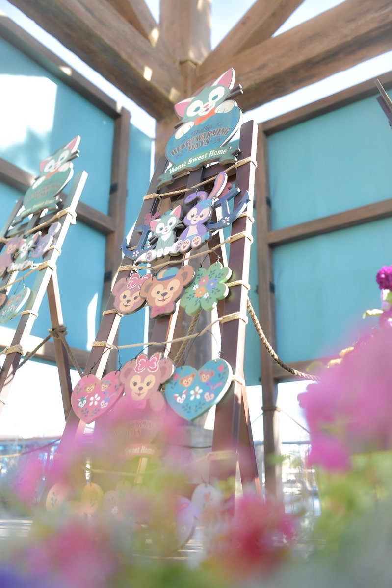 yusukegram's tweet photo. ケープコッドがすごく可愛い🌼
あんまり撮らなかったからまた今度いこーっと🍀 https://t.co/1pOjP8HIUV
