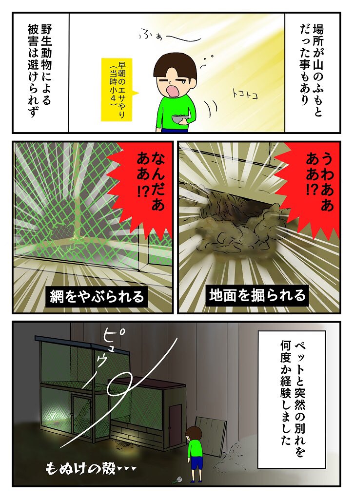 飼っていたうさぎがボットン便所に落ちた話。これは私の過去話です。ボットン便所みなさんご存知でしょうか... 