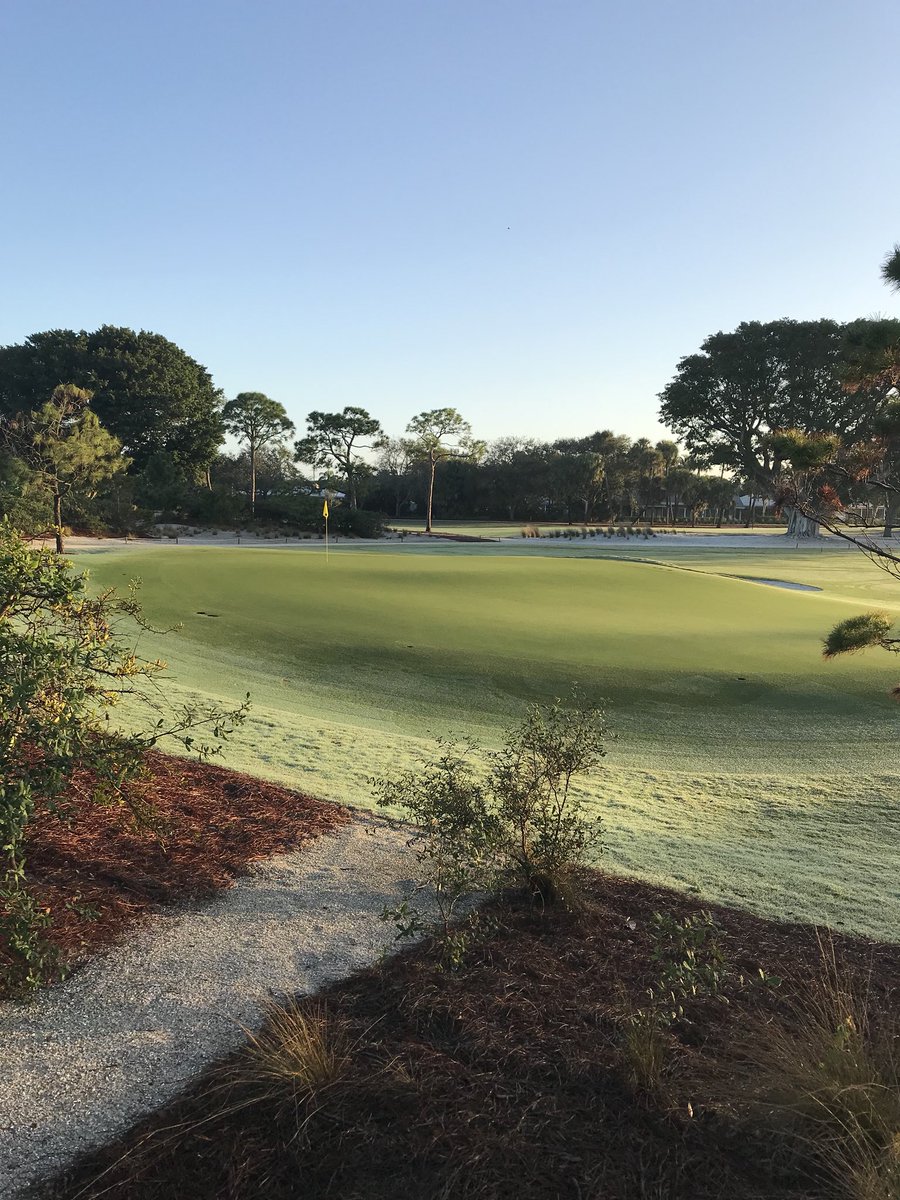 .5” rain last night. Hoping for dry conditions next week to firm up for one day M/G Friday #tequesta