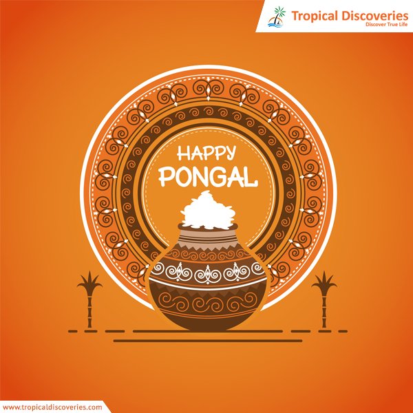 TropicalDisc tweet picture