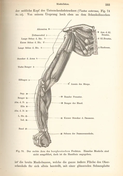 ジュリアス・コルマン『人体の造形解剖学』(1886)。森鴎外によって明治期に輸入された。森鴎外と久米桂一郎の共著『藝用解剖学 骨論之部』の種本。多数の美術解剖学書から内容を寄せ集めて編纂されている。#美術解剖学 