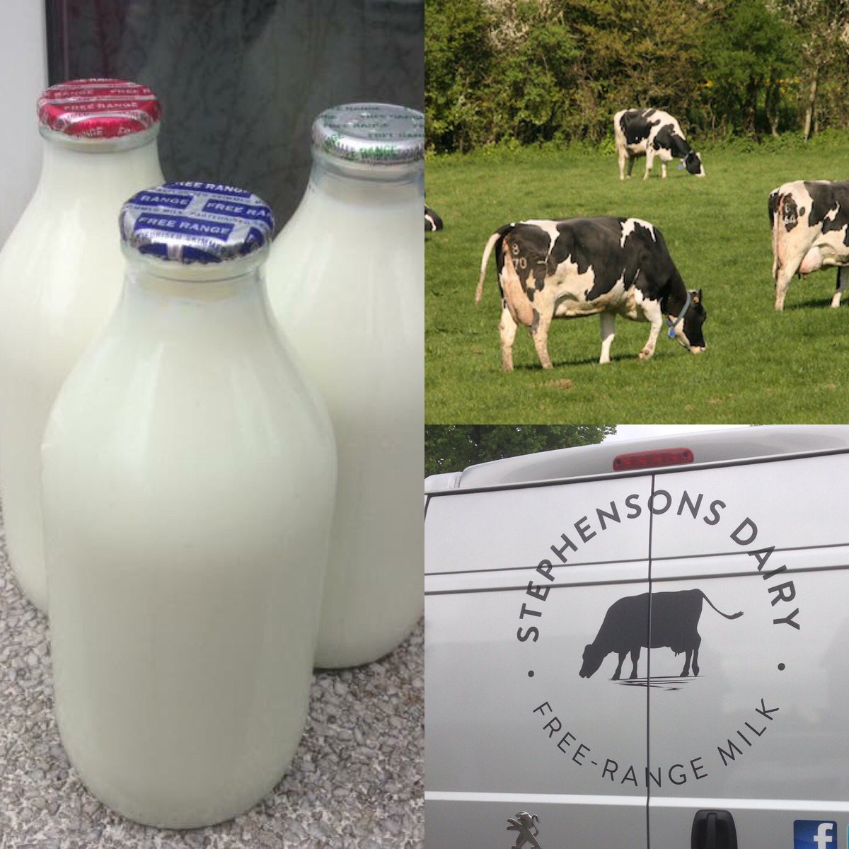 Trying to reduce your plastic use??Our #pasturepromise #freerangemilk in glass bottles is widely available throughout Lancaster Morecambe and surrounding areas. Whole, Semi &amp; Skimmed #feelgoodmilk