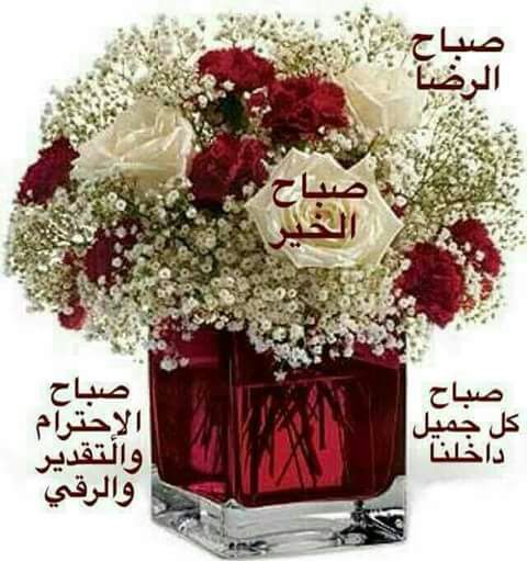 halems8's tweet image. 