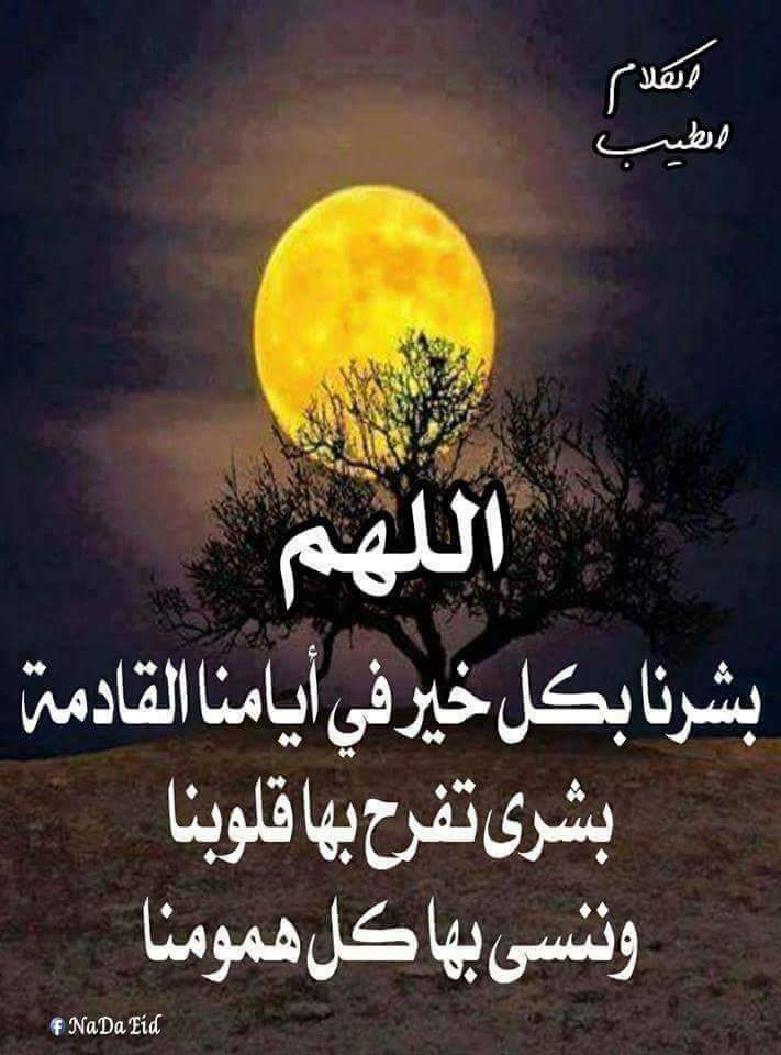 halems8's tweet image. 