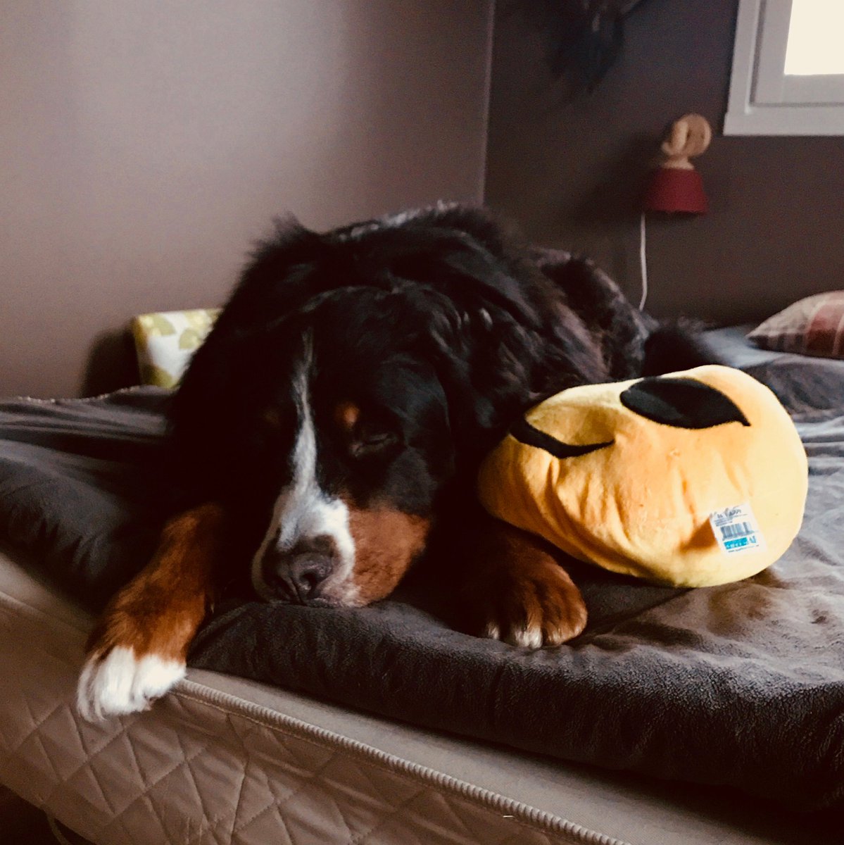 odaz333's tweet image. #Wiktor #wiktor2018