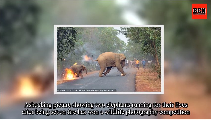 ViralOzon tweet media