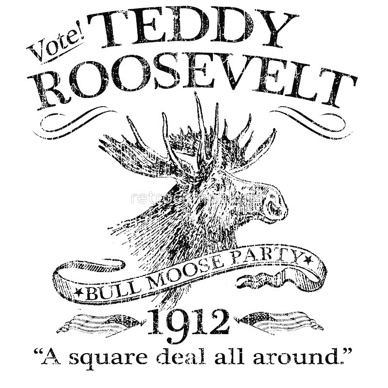 Part 2: Picking up where I left off: Lyon supported Roosevelt in 1912 during his famous fight w/William Howard Taft, he later organized the Progressive or Bull Moose party in Texas, which resulted in the loss of his party posts to Henry Frederick MacGregor.