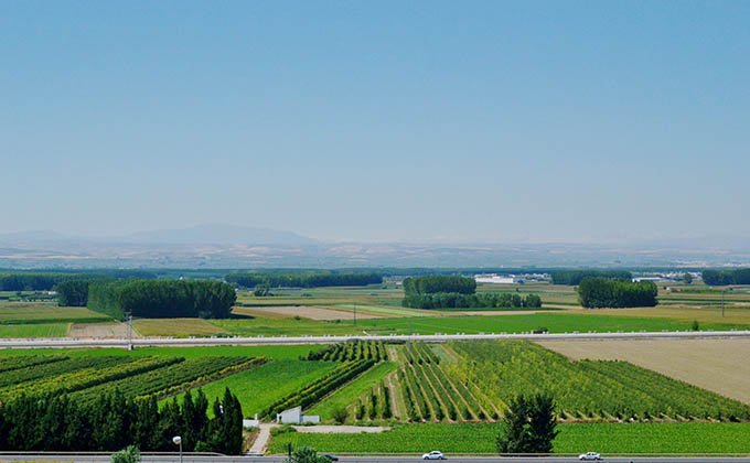 'Sembrando Oportunidades', el proyecto social de <a href="/CaritasGranada/">@caritasgranada</a> en la Vega 
para desempleados 👉 goo.gl/9FR18t