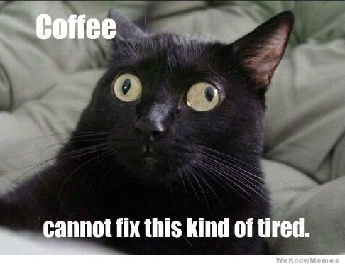 nearly_departed tweet picture