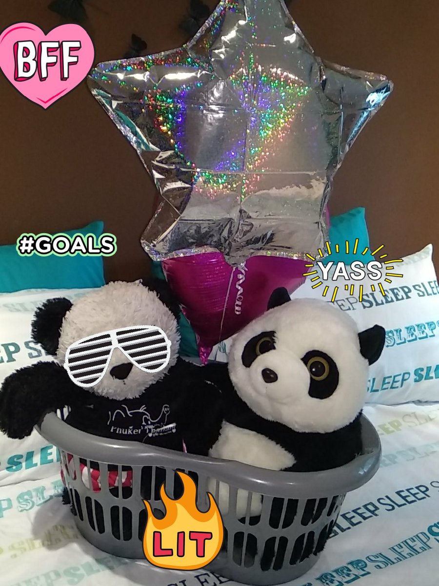PNDpopcornpants's tweet photo. Happy #basket &amp; #balloons day everyone!! Me and #BFF Lin Lin are spending the whole day in a basket and playing with balloons! Bamboo is on it's way! https://t.co/PcvultK0Vk