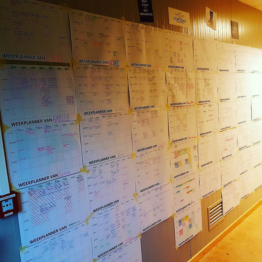 Studenten kleuteronderwijs proeftuin plannen, samen en apart, de komende week in! #autonomie #verantwoordelijkheid #experiment