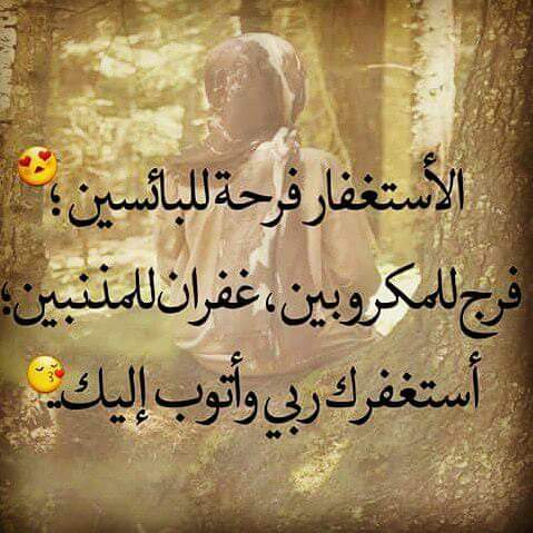 halems8's tweet image. 