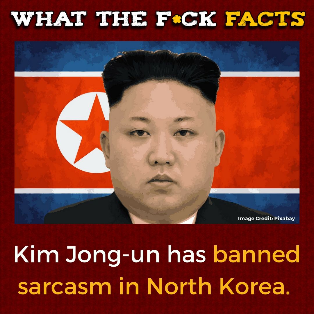 ruud rozeman (@rozemanruud) on Twitter photo 