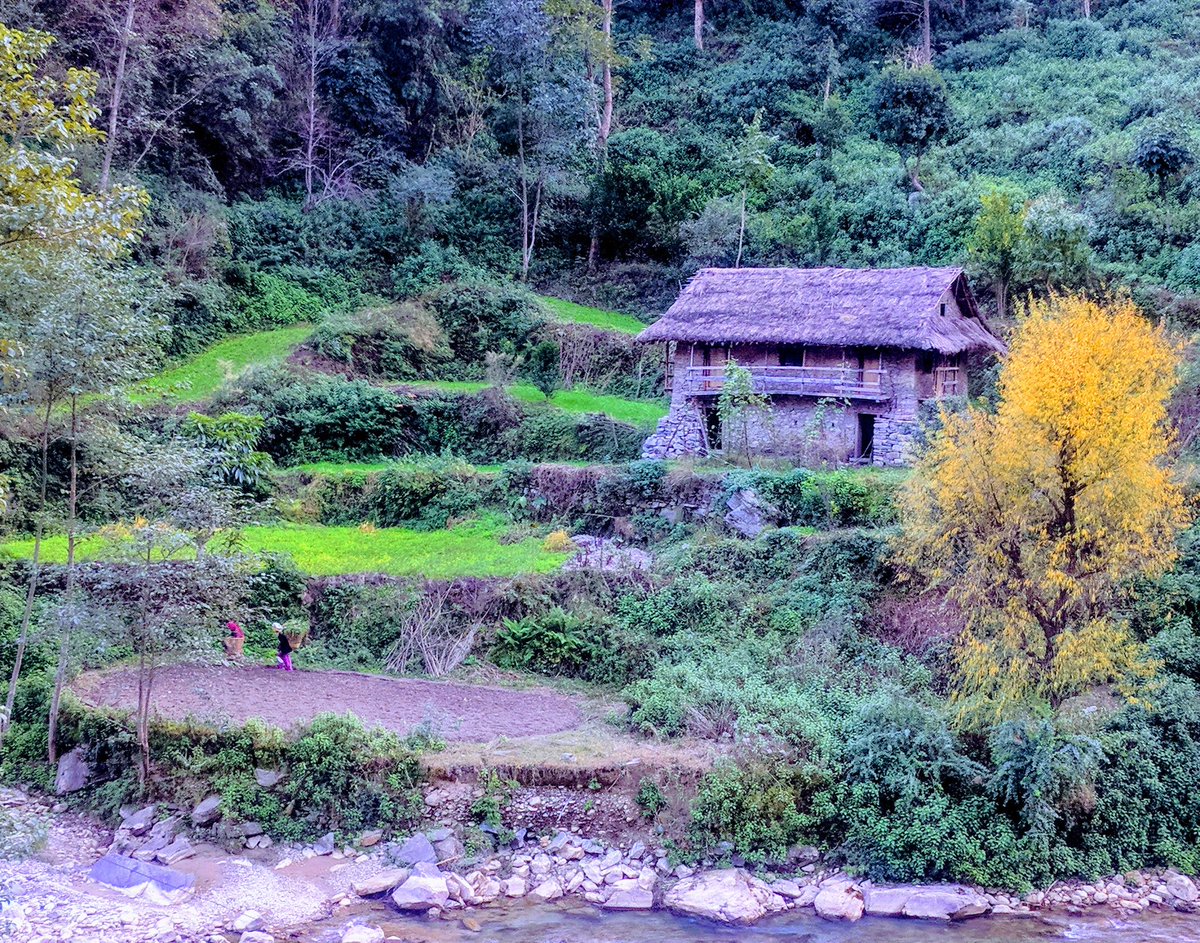 cbidhya's tweet photo. Never tired of listening to the stories....and 'Nature' is the best storyteller I have ever met :-) https://t.co/hV3HdvSojk