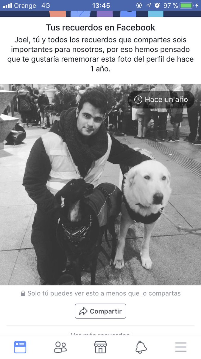 joelgllgprz's tweet photo. Hoy facebook me recuerda esta foto de #luzskywalker antes de ser adoptada por sus mamis @AbiPower y @katalmagro 

Qué bonica es y lo que se la echa de menos por la prote, pero lo bien que se la ve en los vídeos no tiene precio ❤️

#abipower #adelitapower #luz #adopteddog https://t.co/JGpdaFlhCV