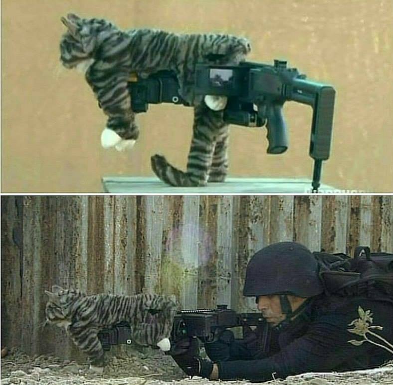DTbBjljW4AADSdq.jpg