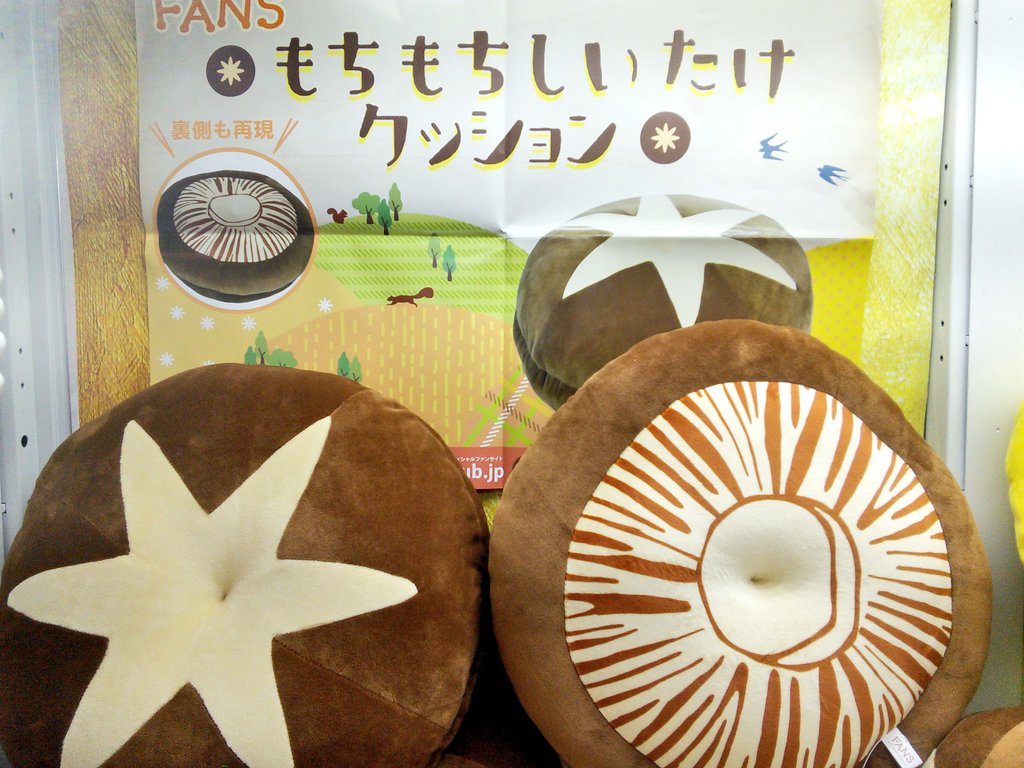 FANS もちもちしいたけクッション