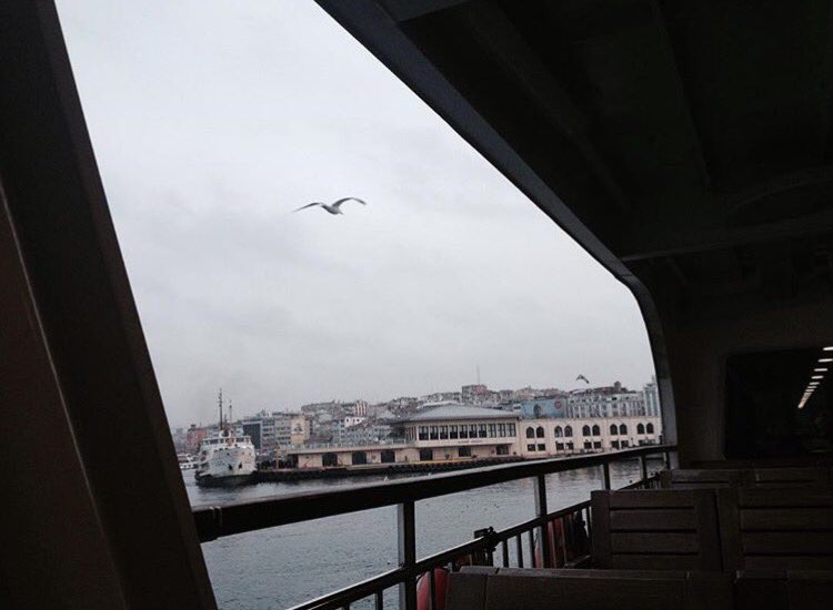 benkadikoy's tweet photo. 💙⛴🐬En keyifli vapur seyahati, sonu Kadıköy'de bitendir.

#BenKadıköy
📍: Vapur
📸: @gamzenurdemirr 

#BenKadıköy #mobileapp #kadıköy #kadikoy #moda #bagdatcaddesi #caddebostan #suadiye #fenerbahçe #yeldeğirmeni #bostancı #konser #tiyatro #sergi #sinema #atolye https://t.co/JtMC3J3yTB