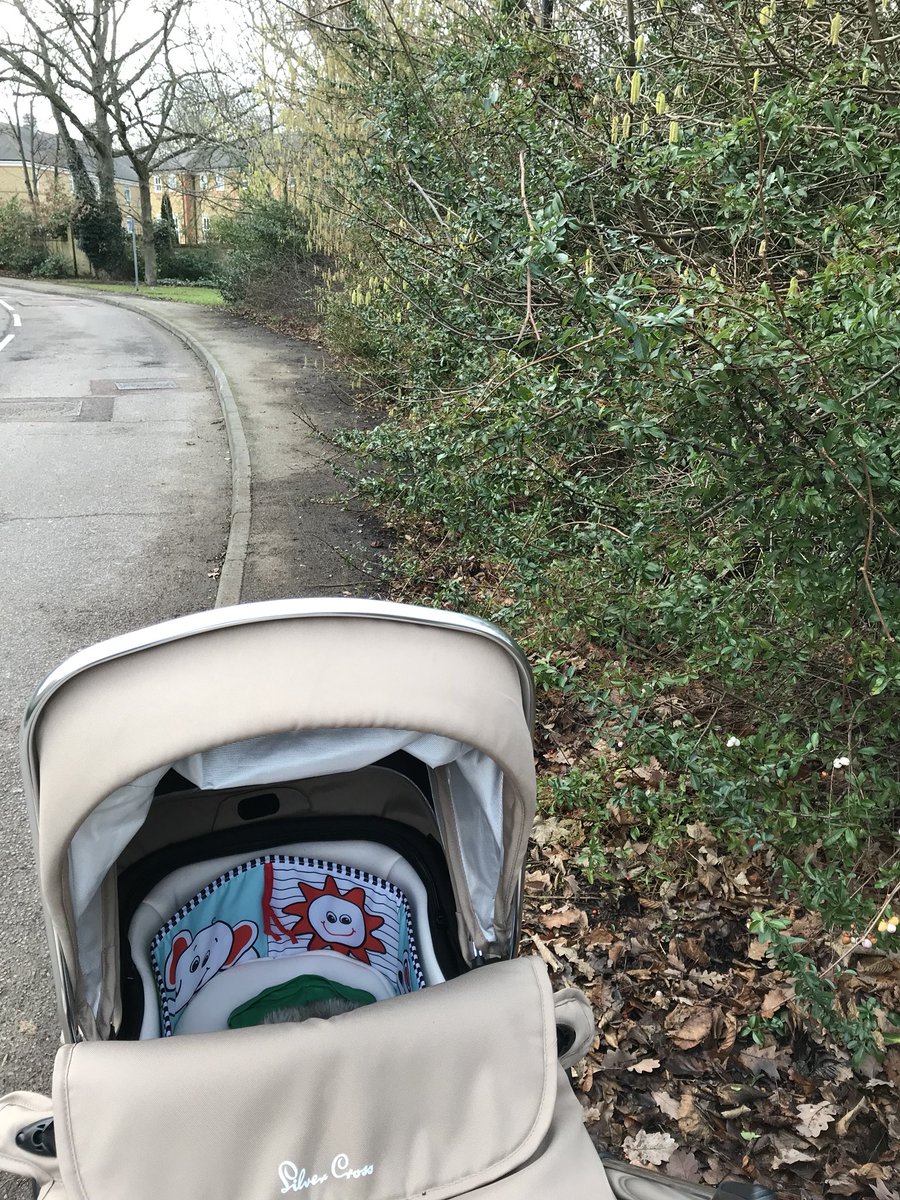 zujo83's tweet photo. @EnfieldCouncil in Highlands Village it would be nice to actually walk on the path with my newborn instead of in the road due to overgrown bushes! #getthemcut #cutthebushes https://t.co/eCWkOwQRzr