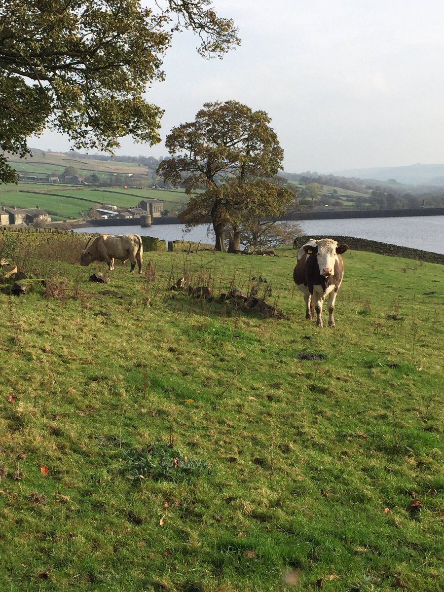 jayne_clinton's tweet photo. I can’t wait until March to be back at beautiful @PondenHall. The inspiration for Wuthering Heights. #11weeksandcounting https://t.co/Z42YPP7b8d