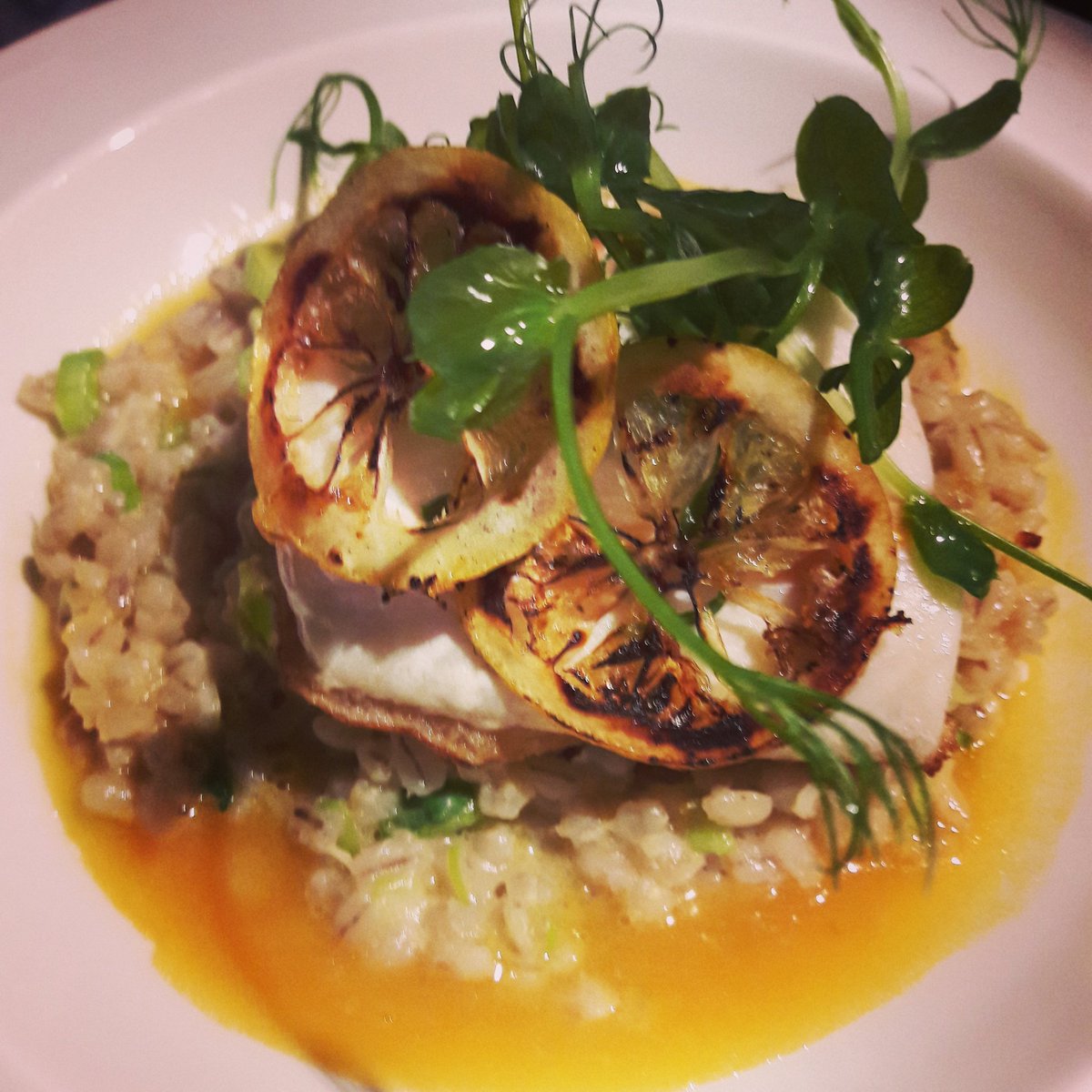 CaseLeicester's tweet photo. Halibut Fillet, Larded with Smoked Salmon, Candied Lemon, Spring Onion &amp; Pearl Barley Risotto with a Passion Fruit Sauce.... https://t.co/f8OvrHNlst