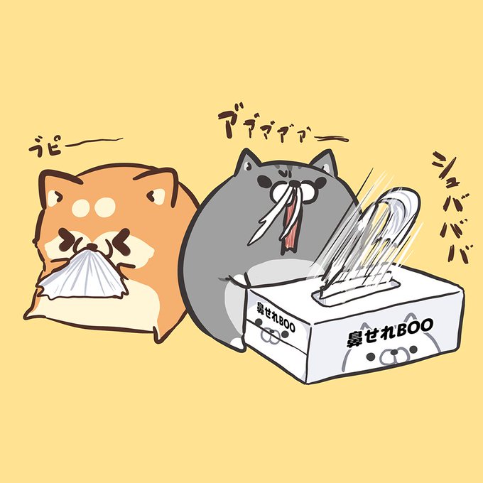 ボンレス犬とボンレス猫まとめ売り Wheel Smoothcare Jp
