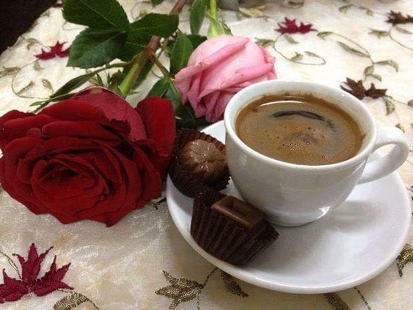 <a href="/Sylpete/">💗Sylpete 🌹</a> @cathhewat123 <a href="/ladevita12/">Anna Gaudreault</a> <a href="/CoquetteEric/">NINIE-du HAINAUT (Nicole)</a> <a href="/nataliepastor7/">🦋💗 Nᥲtᥲᥣιᥱ 💗🦋</a> <a href="/Rimiquen_DSM/">Rimiquen</a> <a href="/micheleblond1/">michele blondin</a> <a href="/DebbieZimmer54/">Debbie</a> @ElaMatusiak2 <a href="/ESTHERBLQU/">ESTHER</a> @JuanaDeArcoFr <a href="/Lorebl034/">Lorebl03</a> <a href="/mariaevaMerta/">mEV🌹🇨🇦♥️@meevamem @mariaevaMerta</a> <a href="/EdytaBaracz/">Edyta Baracz🇵🇱</a> @margottunzi <a href="/tere_a77/">♡♡Tere♡♡ 📷</a> <a href="/marizulca/">Marisol ❤</a> <a href="/SuzanneLepage1/">Suzanne Lepage</a> <a href="/elsufuen/">Susana Fuentes</a> <a href="/PptMary/">Electra ๑✿.๑¯`·❥🚫DM</a> @zouzou_ni <a href="/EliArtFashion/">Eli Marques 💖 ⛤ ✿●‿●✿ 🌸🌸</a> Bonjour Chere Sylpete, heureux week-end 🌺❣️Bisous