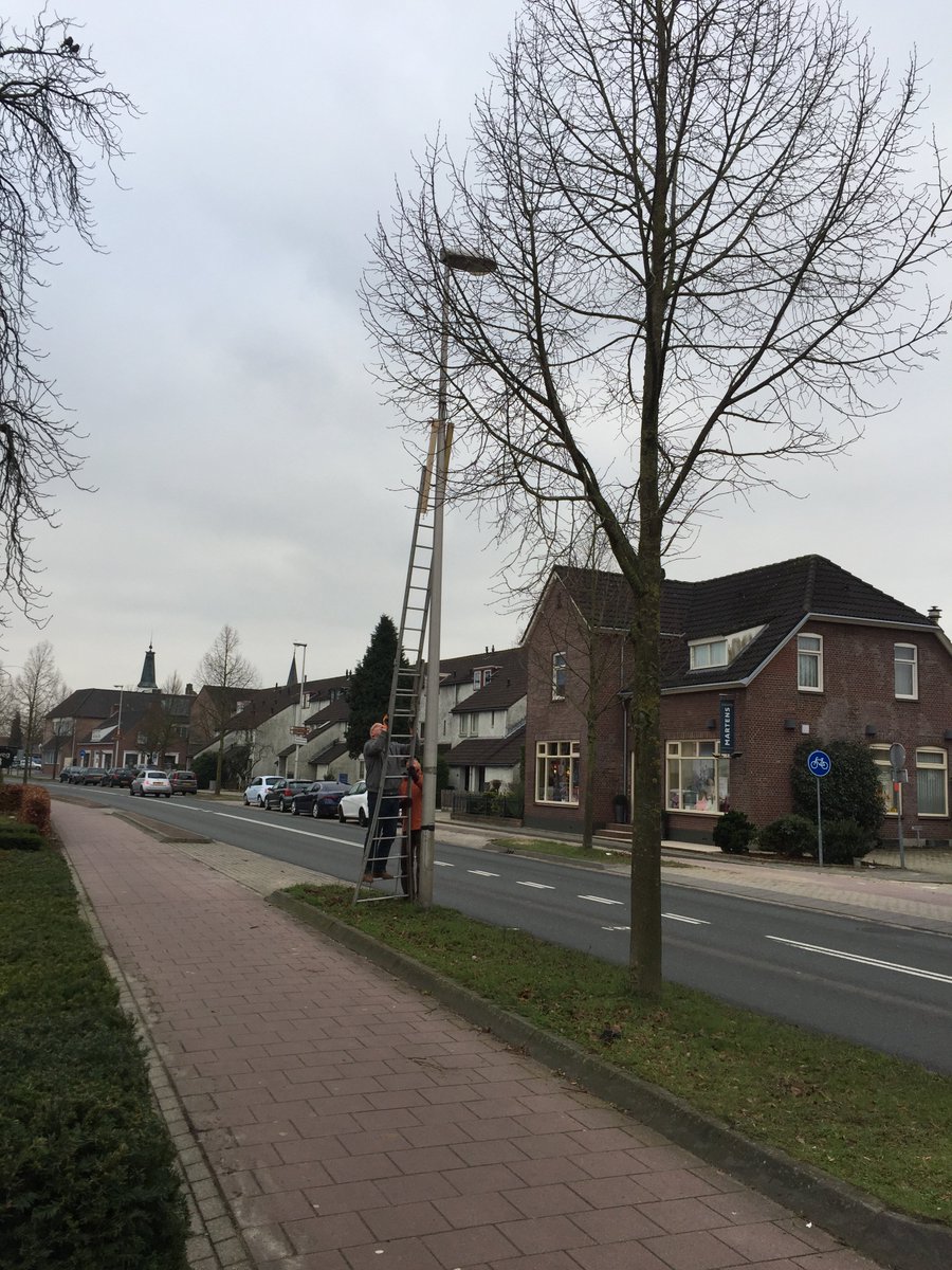 PA2P_'s tweet photo. @PA2P_ After more than 15 years of service the Perlon 1.5 mm tension cable, attaching one leg of the wire antenna to the lamppost, snapped 3 weeks ago.  The cable was partly crumbled due to UVlight. Today the problem was fixed and the the antenna is tied up to the lamppost again. https://t.co/qSYkc9uJHk