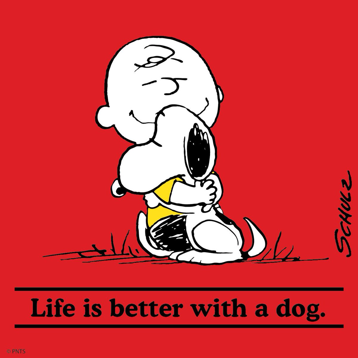 Snoopy's tweet image. I ❤️ my dog.