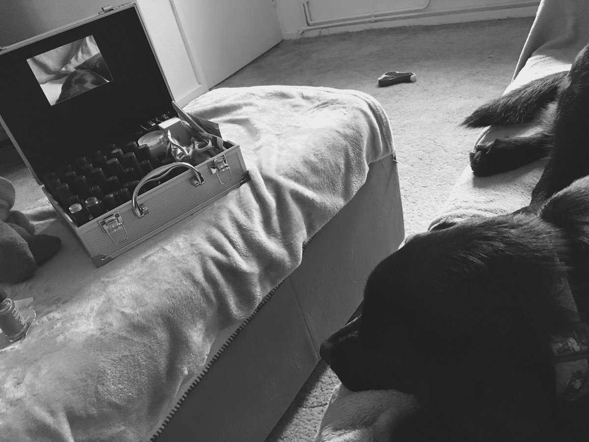 DoggyBonar004's tweet photo. The #attachecase at #DBCentral is open.. Im supervising & watching #Noah with #RusselCrowe & #AntonyHopkins https://t.co/wNPnn9eneT