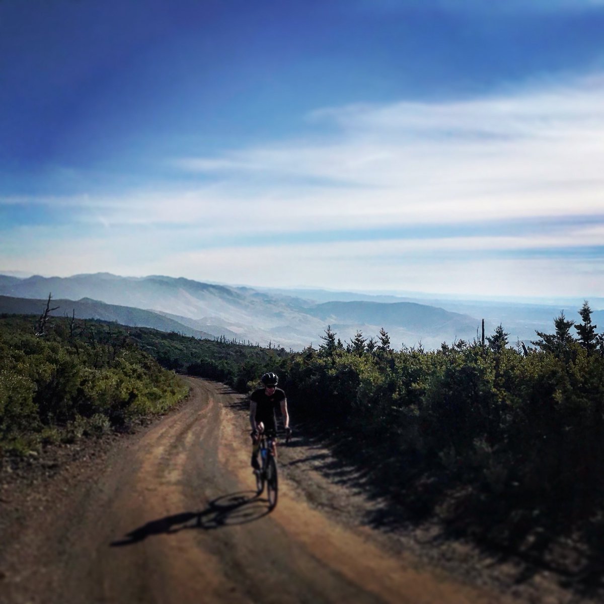 YuriHauswald's tweet photo. It sawblades its way along a coastal stretch of the @LosPadresNF from the 101 to Moro Bay and provides 360 degree views. If #gravel is what you seek, check out Cuesta Ridge in SLO. Great dirt tour @seanbird1996 👊💥 https://t.co/HnTWOzLsKZ