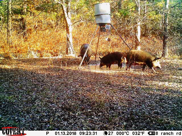 Joe Davis tweet media