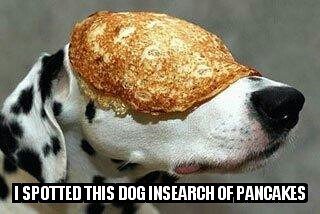 VFWPost1994's tweet photo. And/or a #ac/dc concert #thinkpancakes #vfwfundraiser #studentscholarshipfund 10feb18 9-12 4h center #abingdonva tickets at the door or from any post or auxiliary member. #students #scholarships #pancakes https://t.co/hrpN5GgX84 https://t.co/yByjTzz8JF