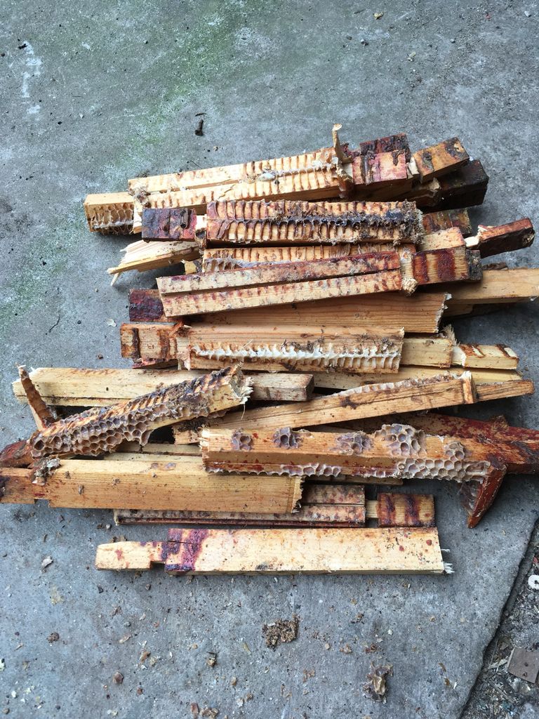 HighgateHoney's tweet image. We cut up the old frames from our hives - they make excellent kindling! Brood frames need to be changed every couple of years to prevent disease.
#urbanbeekeeper #localhoney #reuse