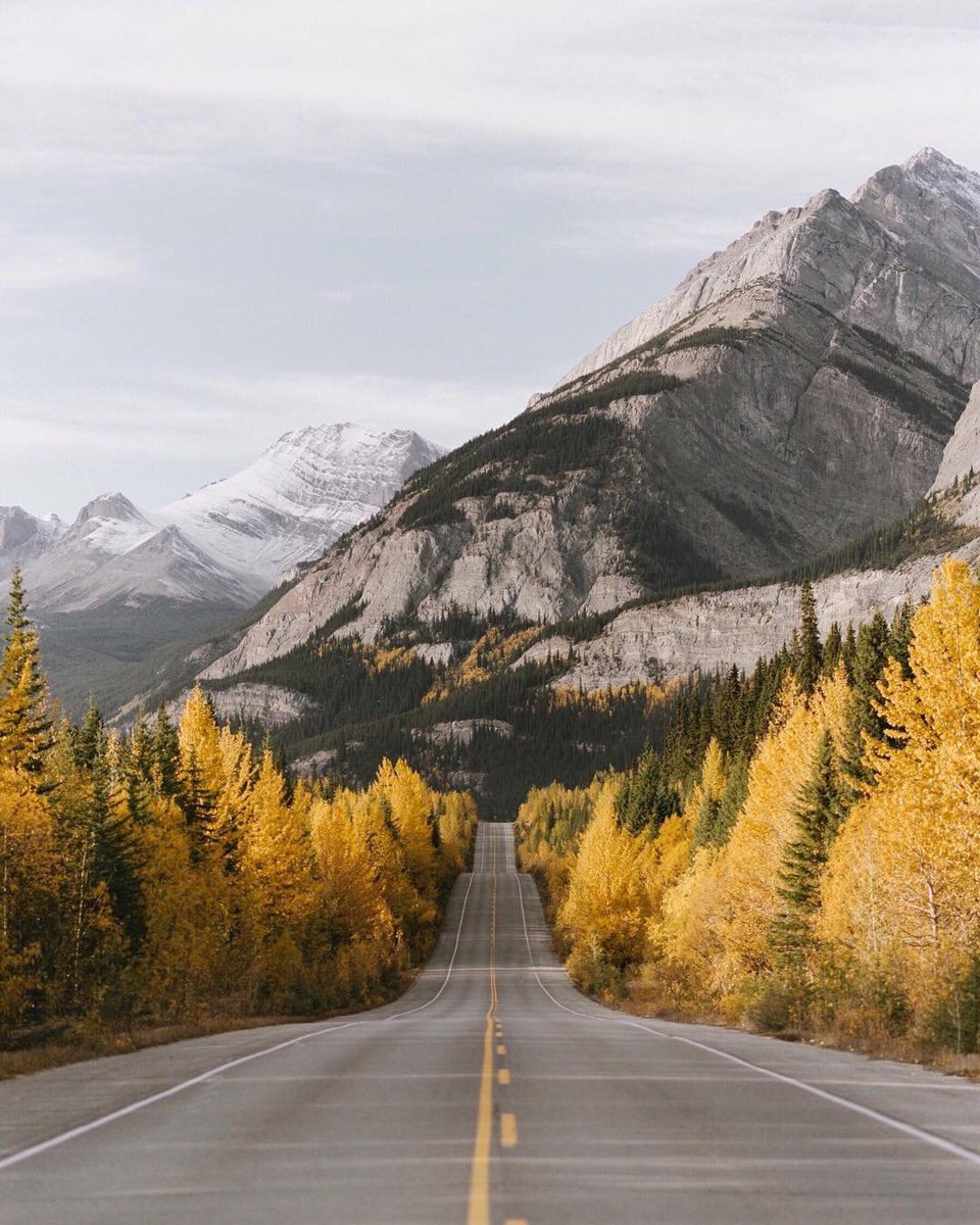 earthescope's tweet photo. Alberta, Canada | Photo by Tanner Stewart https://t.co/HPfQGZfN2n