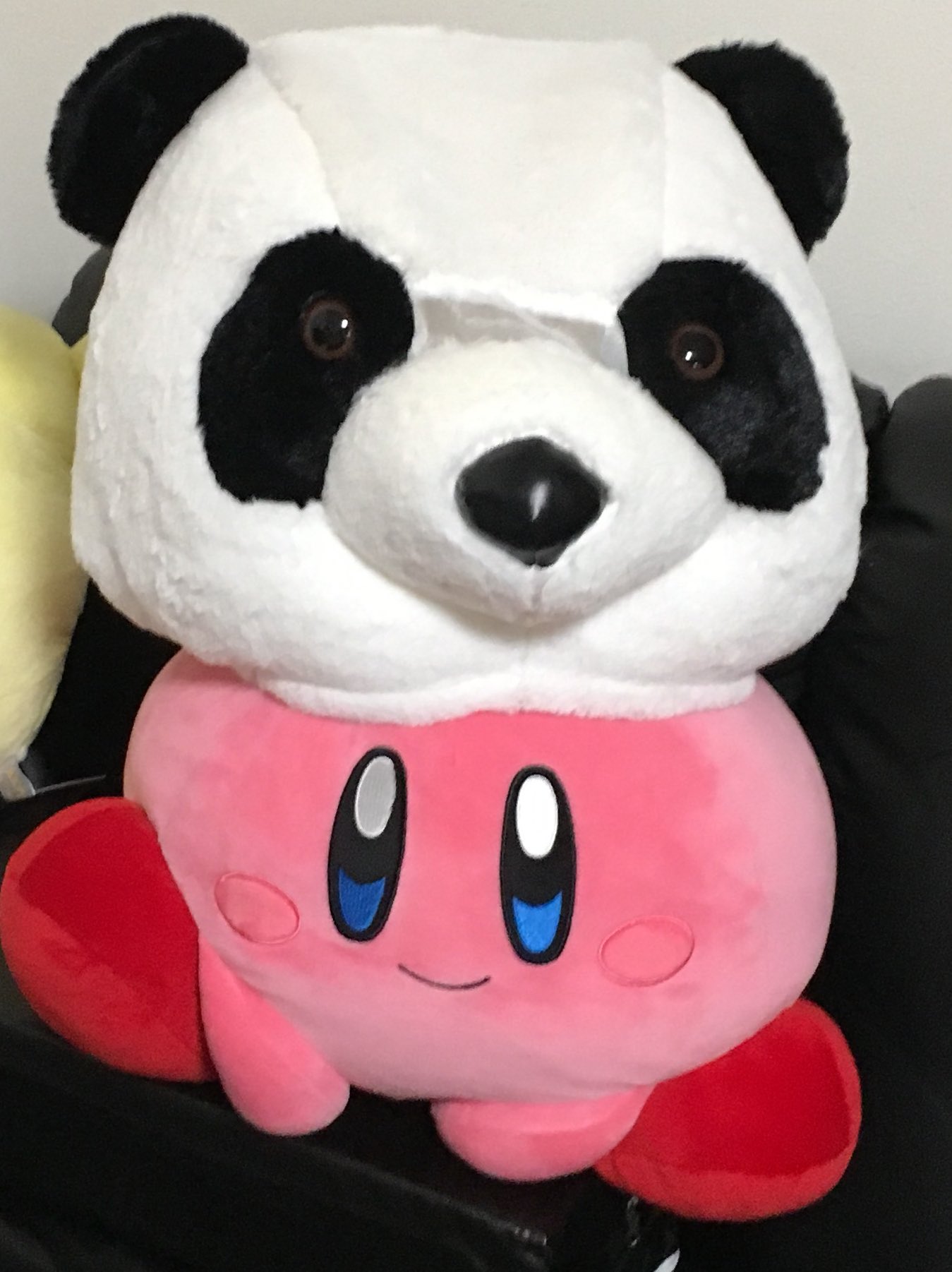 あぴ かーびちゃん頭大きいからパンダの被り物入らない ぺーちゃんは 余裕 あぴ かーびちゃん頭大きいからパンダの被り物入らない ぺーちゃんは 余裕