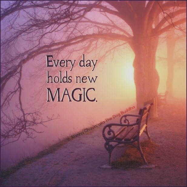 drwmharrison's tweet photo. Good morning to all of you awesome folks... You have a day full of #abundance #joy #peace #propserity and #success .... You are a magnet for all things #great ‼️‼️‼️ #docwill https://t.co/y3oGqVutcC