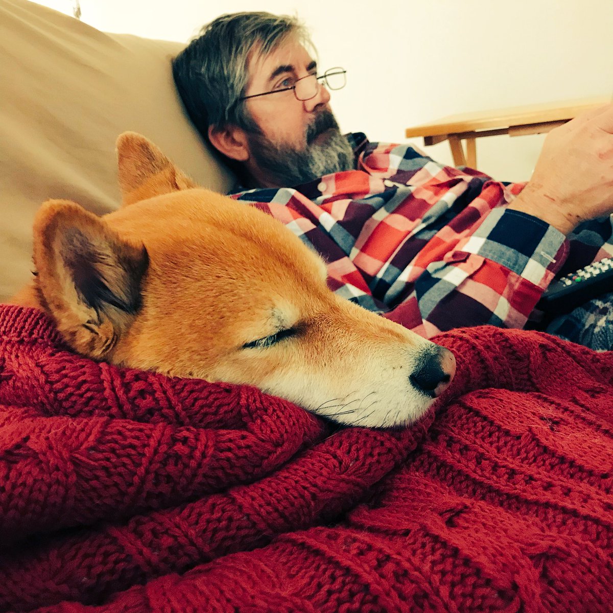 GojiraLover's tweet photo. Recovering from dramatitis with hudad. #faker #perfectlyhealthy #hateVet https://t.co/MPzN6bpO4s