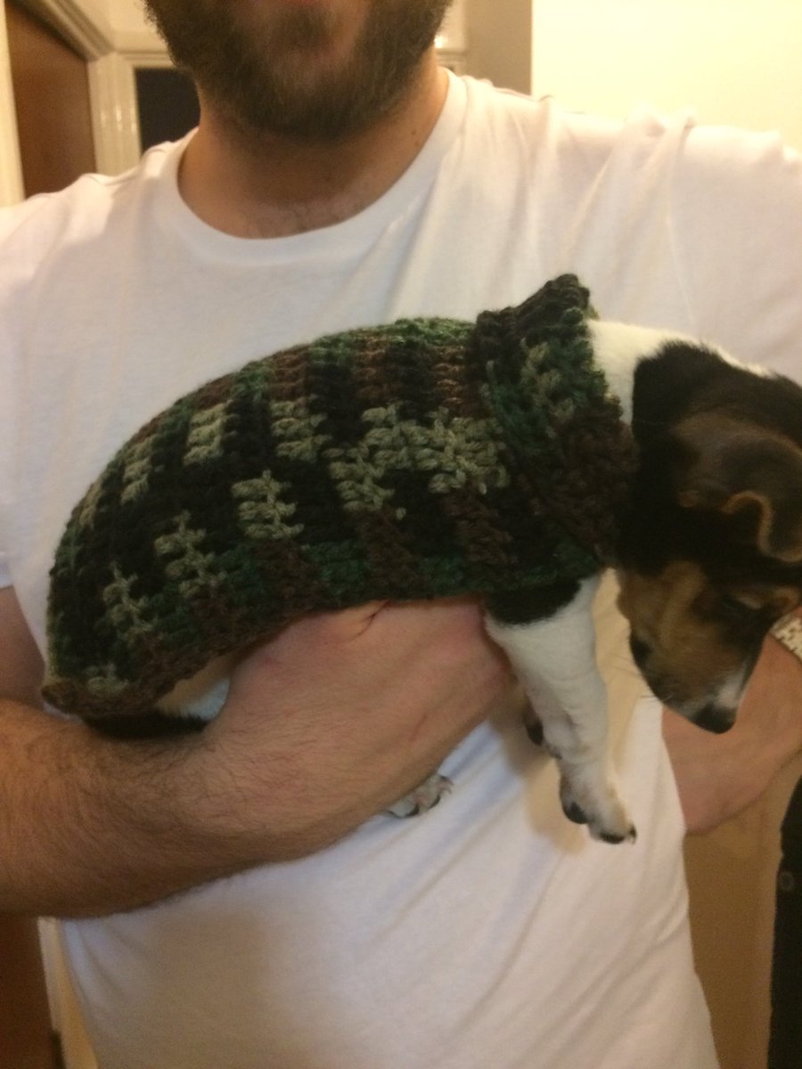 Tripletmum's tweet photo. Not a great pic but just made Ralph his very own hand made camo jumper #dog #puppy #jackrussell #handmade #crochet #dogjumper https://t.co/LOPCMR7P1E