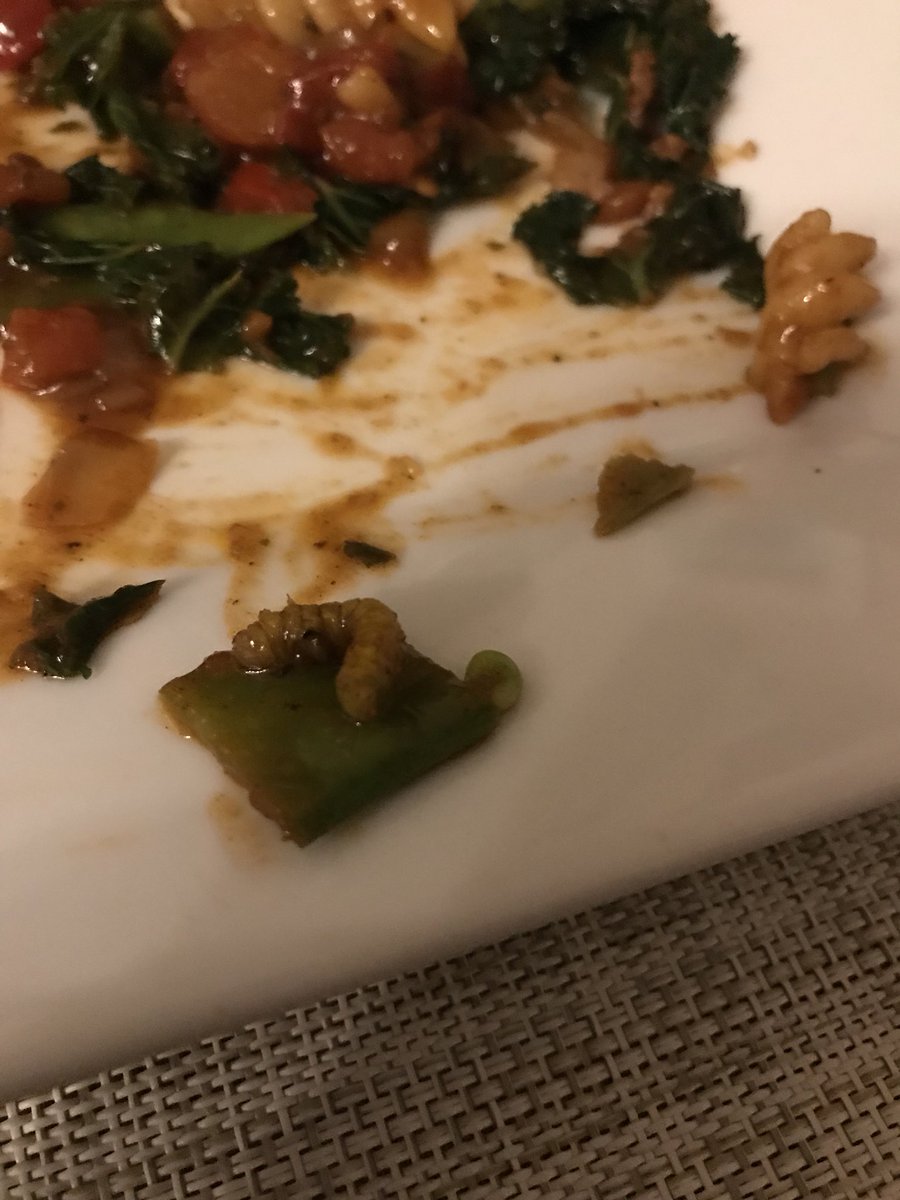 DJ Dom Etchells tweet media