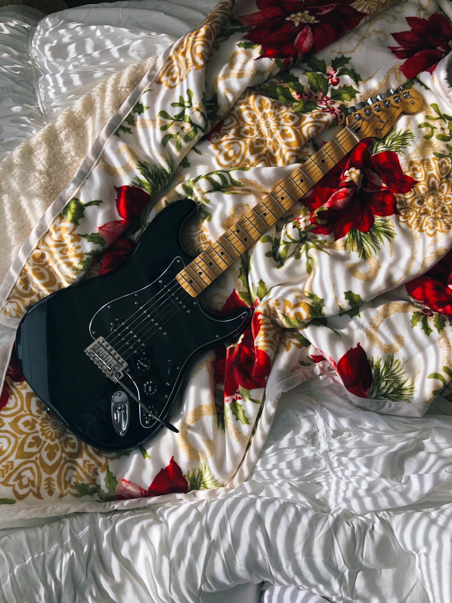 •Lauren Preston• on Twitter "My child ️ Fender…