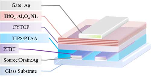 view mechanics of