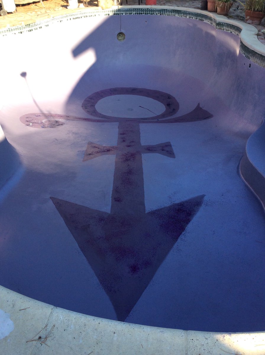 #signofthesummertimes #allmypurplelife #princeangel #follyfootfarm #revelinyourdelectableindulgences