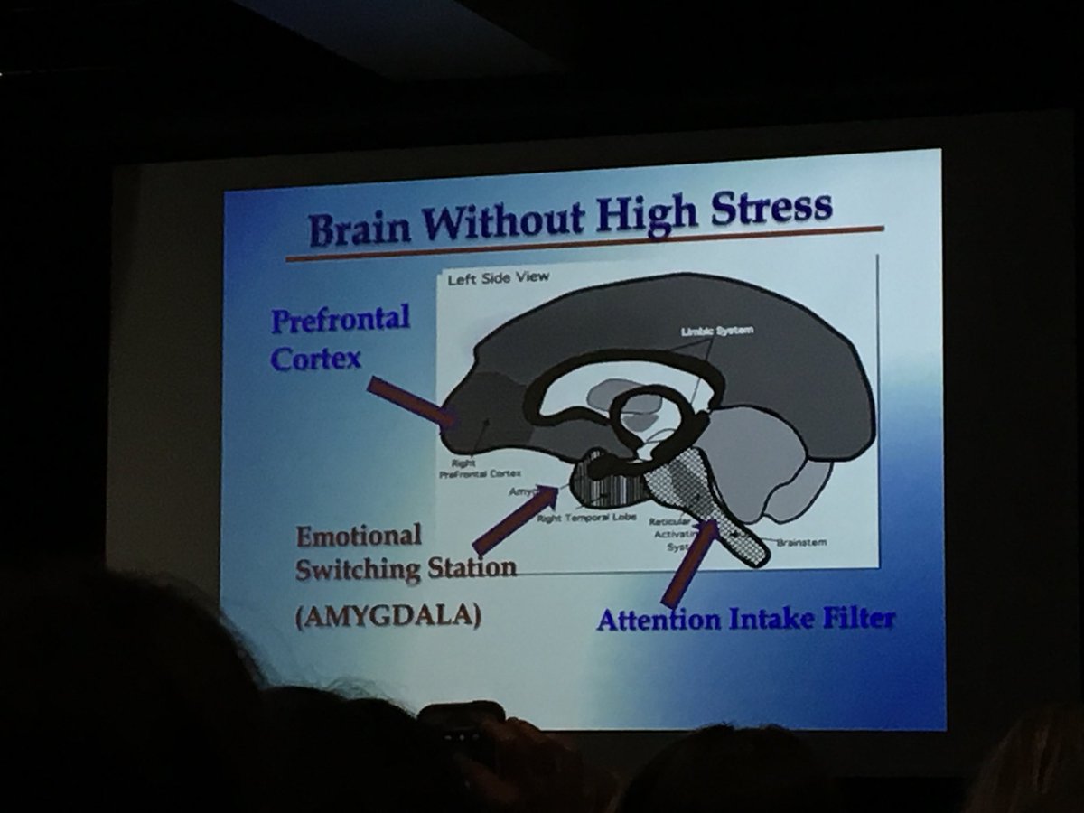 Moniteach's tweet photo. Be still my ❤️...so excited for this #MBEconference #mindbodyemotion session with @judywillis 🧠💪🏼#mindfulness https://t.co/WjtONdJ1af